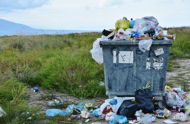 Iz vašeg kupatila u Tihi okean: kozmetika na plećima planete